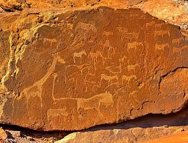5 стран Африки с Намибией и водопадом Виктория